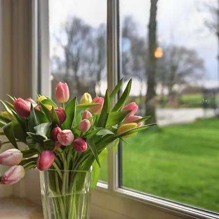 Overleek Holiday home *